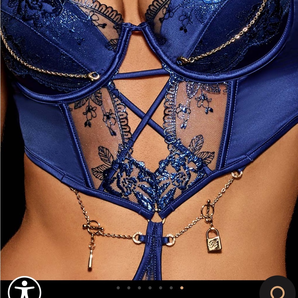 Elegant and Sexy Honey Birdette Blue Lace Lingerie